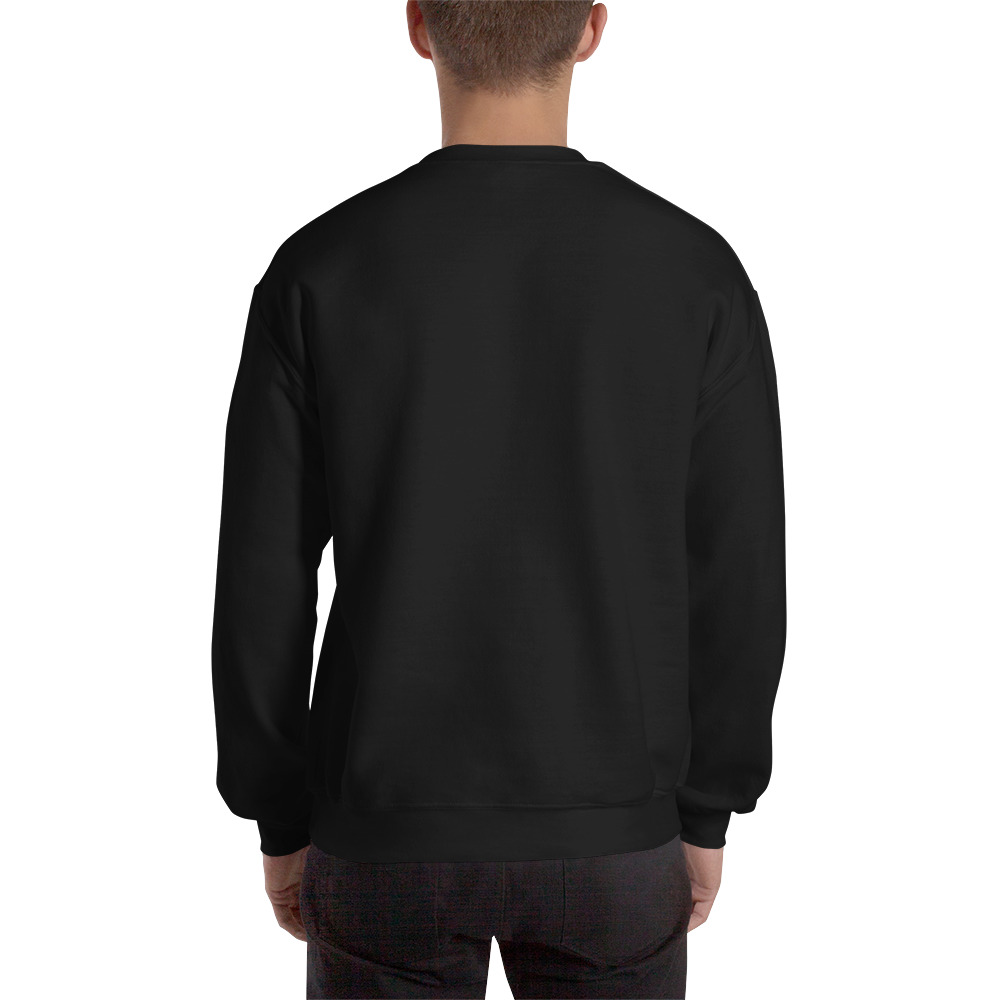 unisex-crew-neck-sweatshirt-black-back-645d1f4884085.jpg