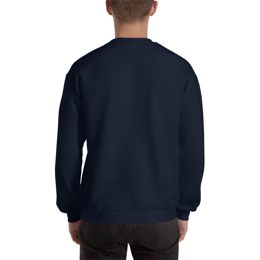 unisex-crew-neck-sweatshirt-navy-back-645d1f48848a3.jpg