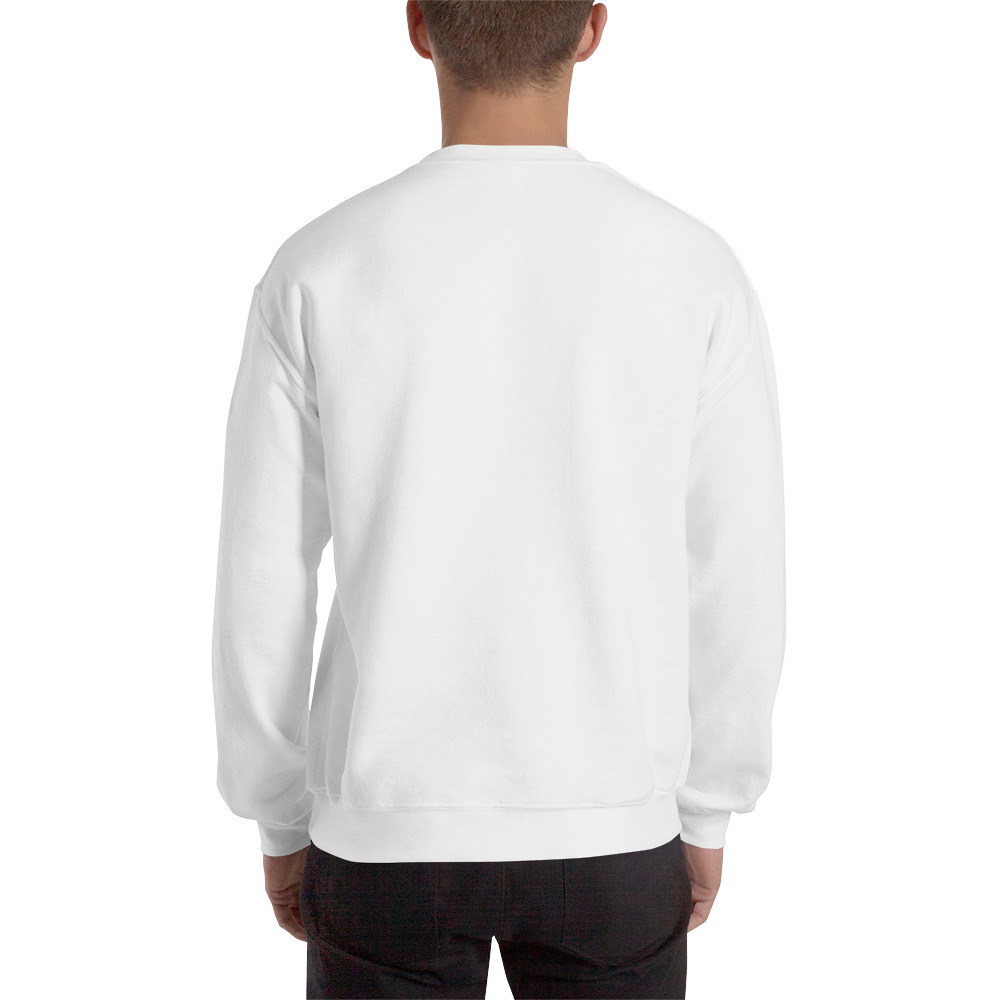unisex-crew-neck-sweatshirt-white-back-645d1f48856ce.jpg
